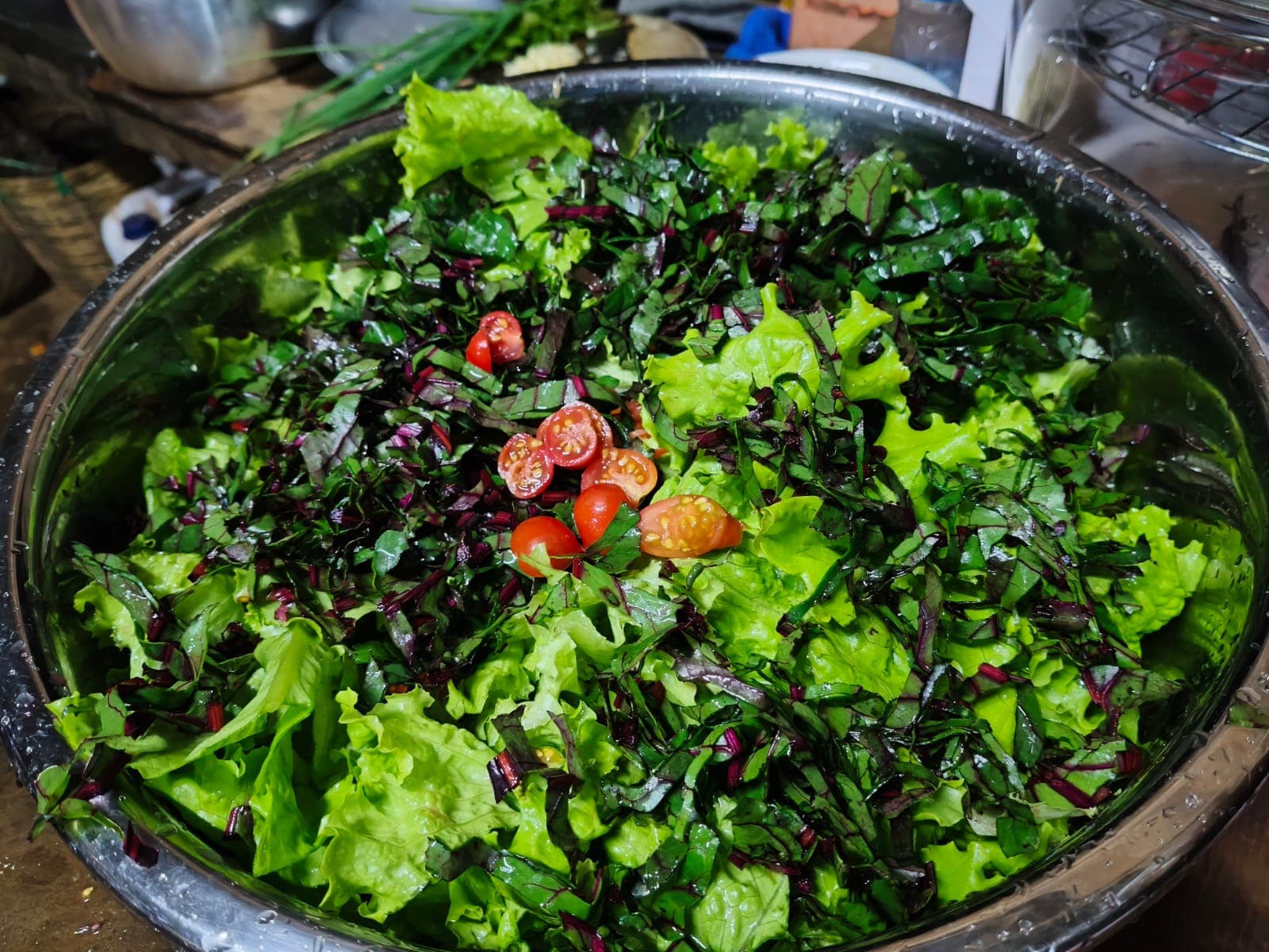 Colorful fresh farm-to-table salad bowl featuring vegetables harvested directly from the organic garden